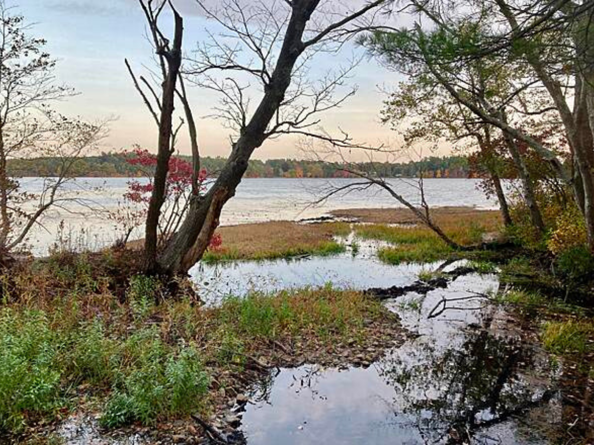 Haggetts Pond