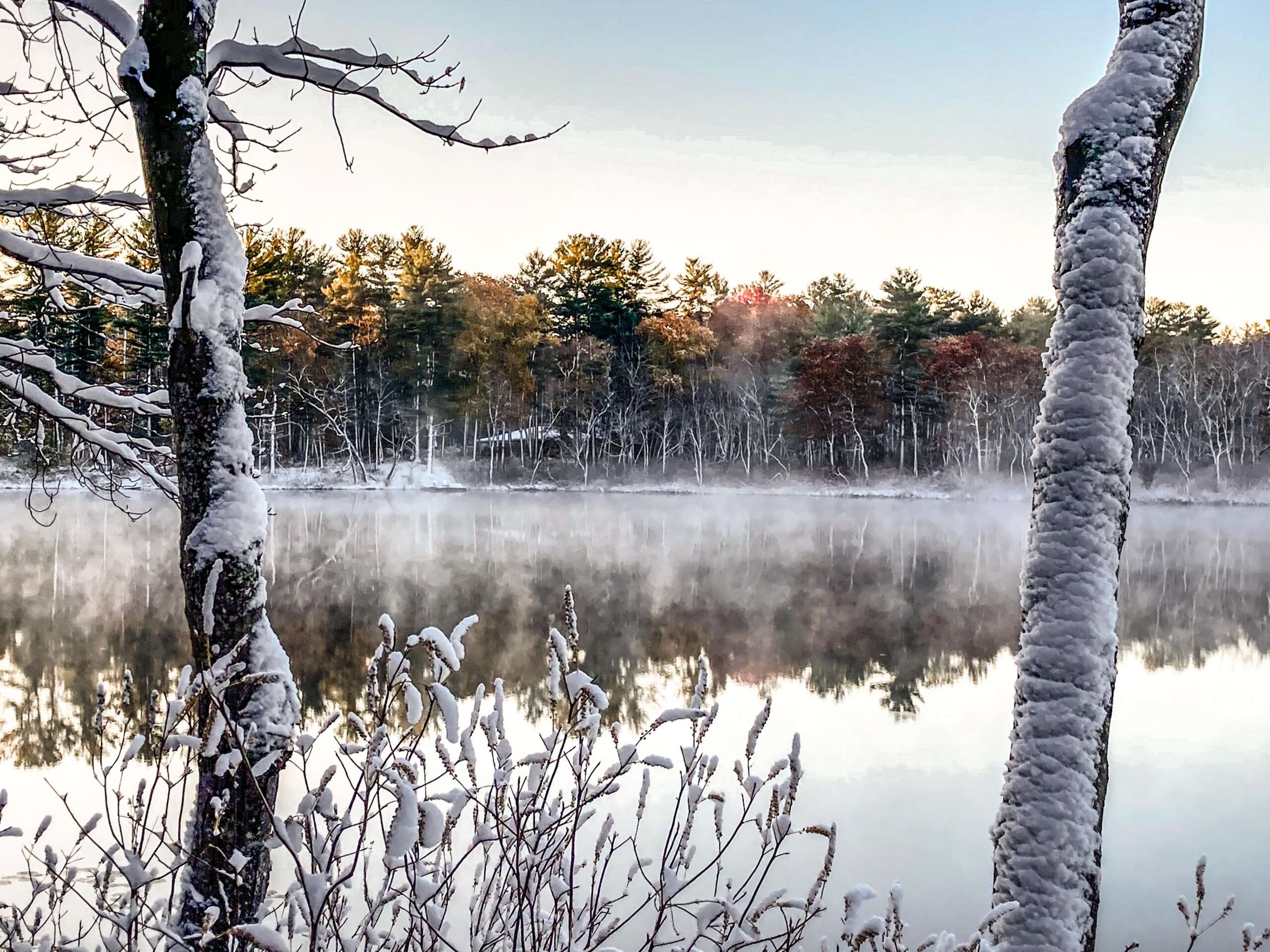Haggots Pond